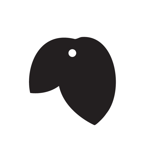 Crafty Cuts Laser Build a Bloom - STEMS - 10 shapes