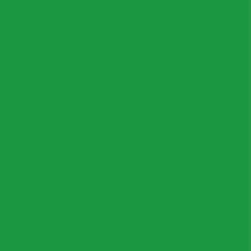 Crafty Cuts Laser Pty Ltd Matte/Gloss Duo Sided - Turtle Green