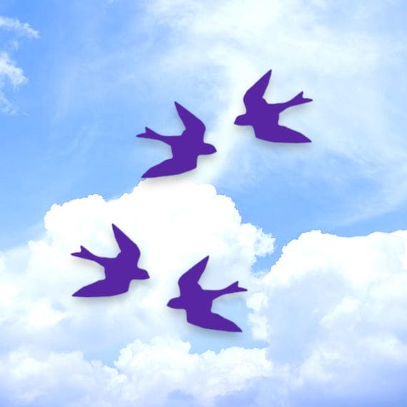 Crafty Cuts Laser Swallow - Mini Cuts - 10 Pairs