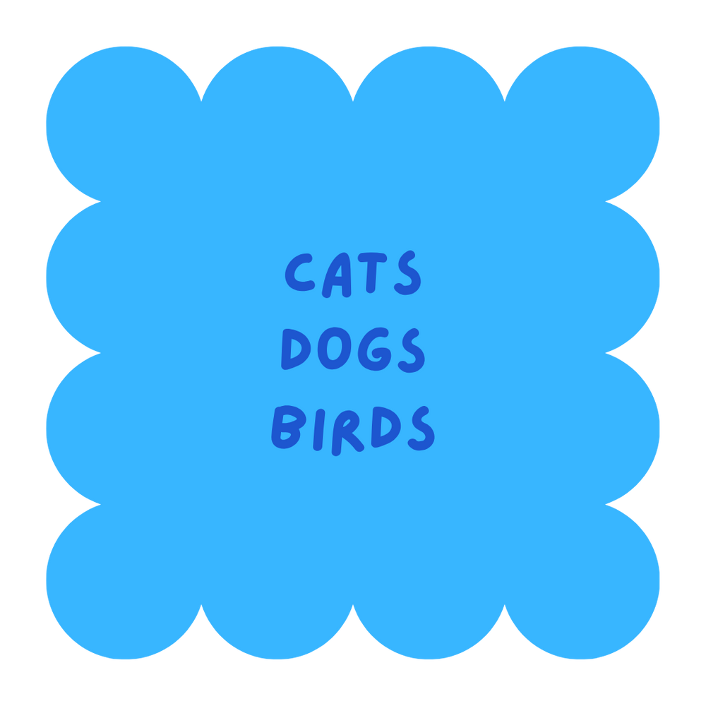 Cat, Dog or Bird?