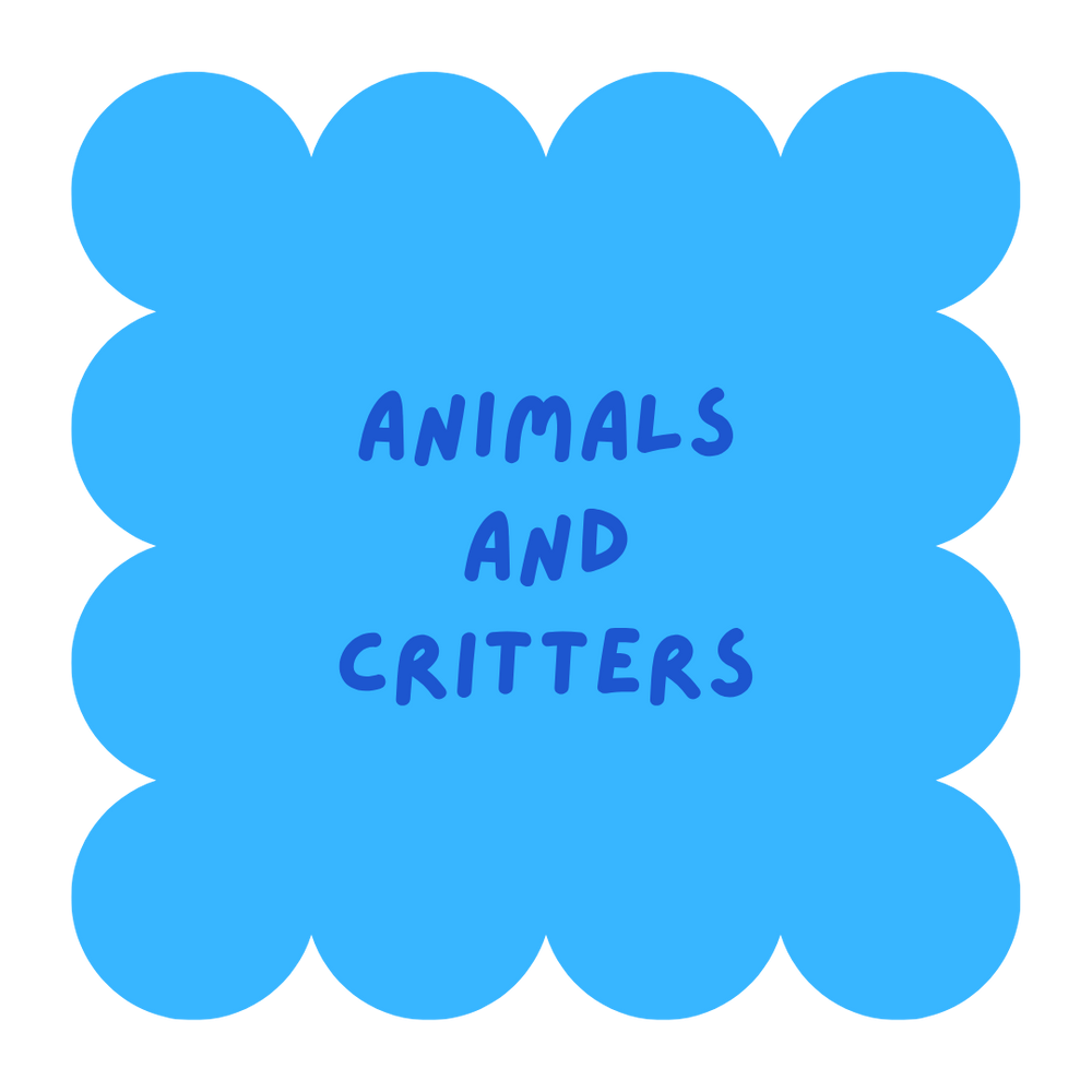 Animals & Critters