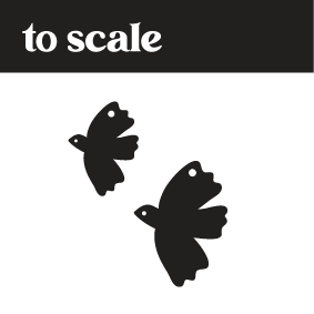 Crafty Cuts Laser About a Bird - Two Sizes