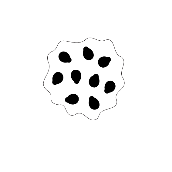 Crafty Cuts Laser Build a Bloom - 3 Pair Set