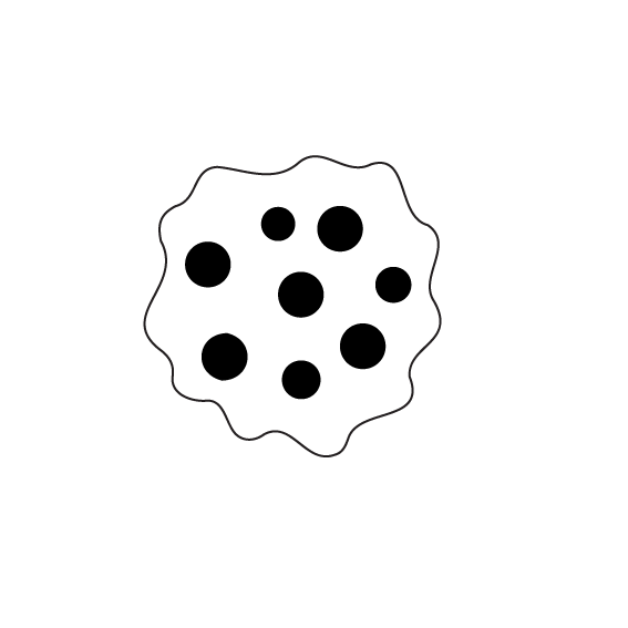 Crafty Cuts Laser Build a Bloom - 3 Pair Set