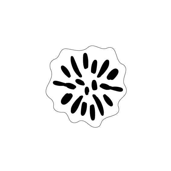 Crafty Cuts Laser Build a Bloom - 3 Pair Set