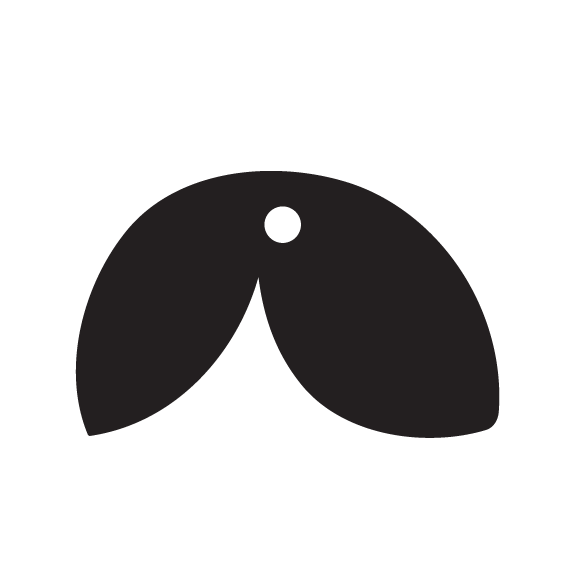 Crafty Cuts Laser  Build a Bloom  - STEMS - 10 shapes