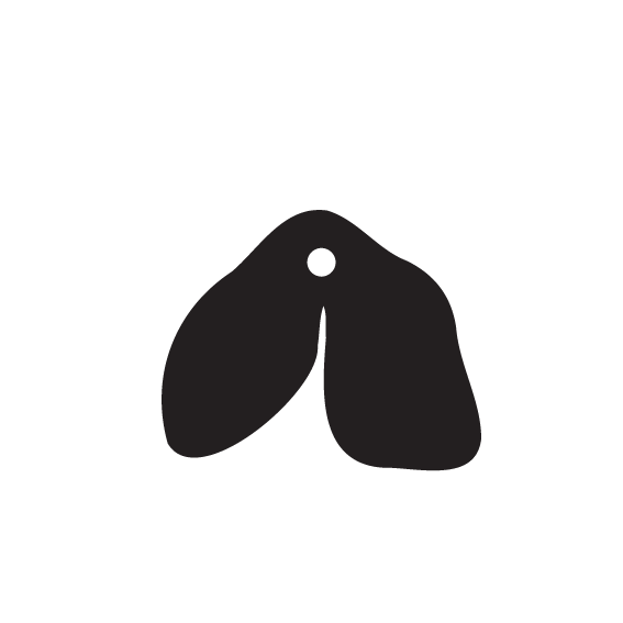 Crafty Cuts Laser  Build a Bloom  - STEMS - 10 shapes