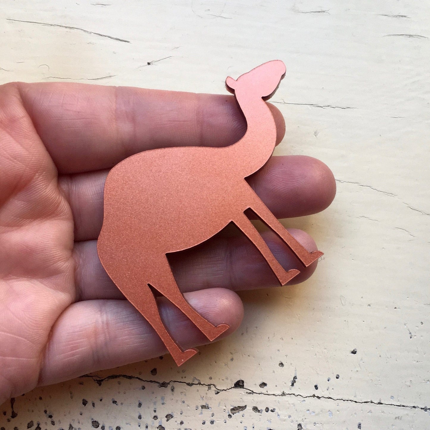 Crafty Cuts Laser Camel One Pair