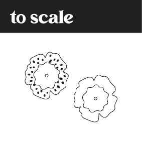 Crafty Cuts Laser © Petal Pusher Stackers - 2 pair set