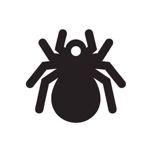 Crafty Cuts Laser Spider Charms - 6 Pair Set